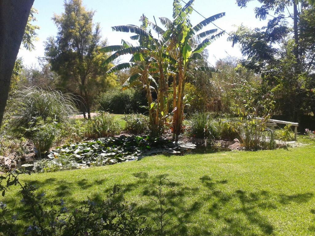 Southern Comfort Lodge Bulawayo Ngoại thất bức ảnh