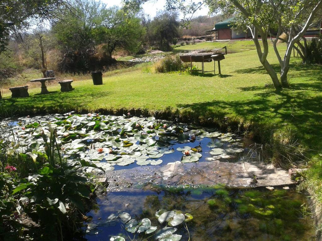 Southern Comfort Lodge Bulawayo Ngoại thất bức ảnh