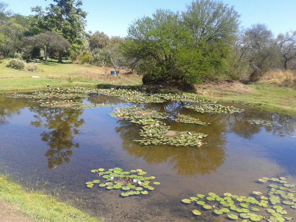 Southern Comfort Lodge Bulawayo Ngoại thất bức ảnh
